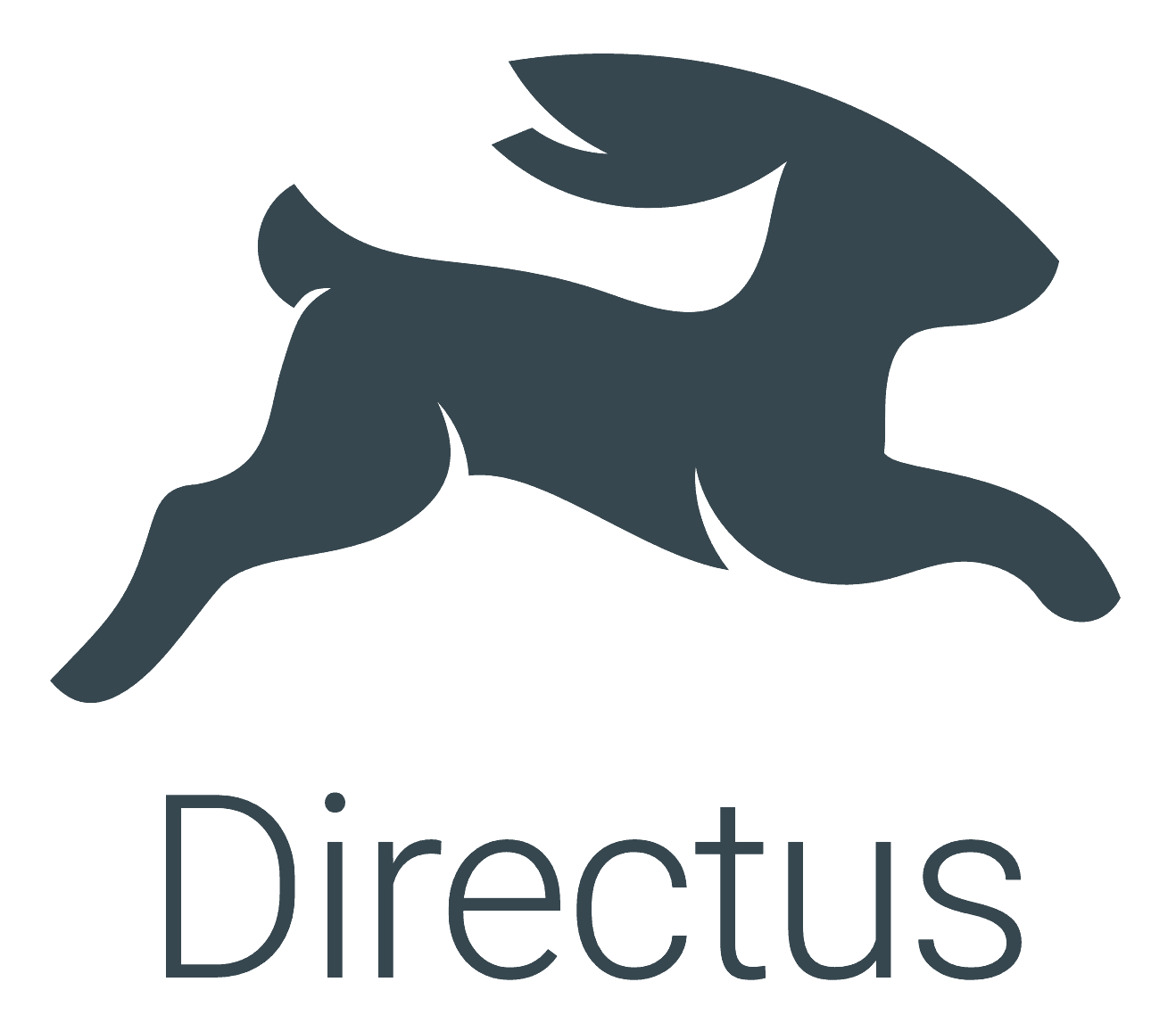 Directus logo